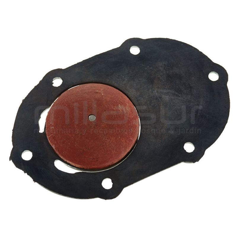 VALVULA RETROCESO BA4C20HP (17-19) - motoscamaralweb.com