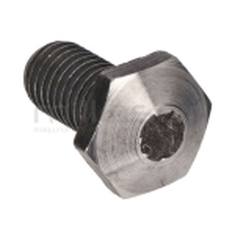 TORNILLO CUCHILLA TAMBOR BIO150 - BIO150VR (25) BIO70S - motoscamaralweb.com