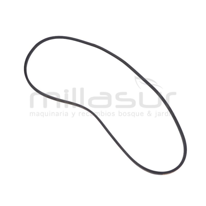 CORREA BIO150 (35) - motoscamaralweb.com