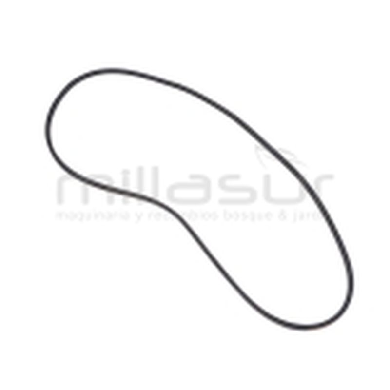 CORREA BIO150 (35) - motoscamaralweb.com