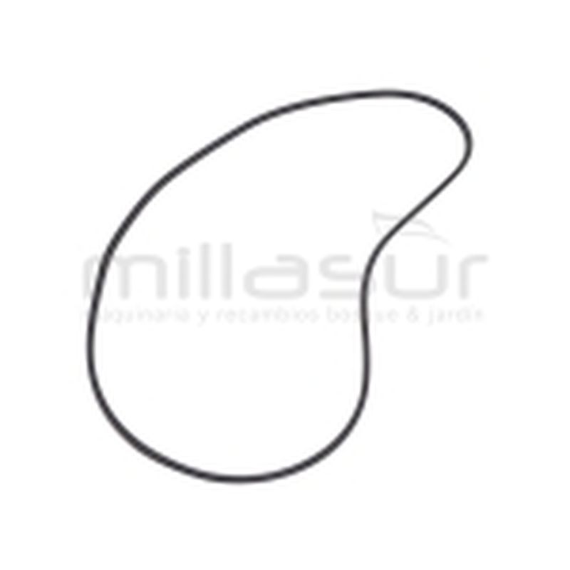 CORREA BIO150 (35) - motoscamaralweb.com