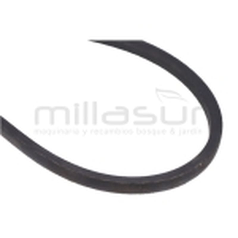 CORREA BIO150 (35) - motoscamaralweb.com