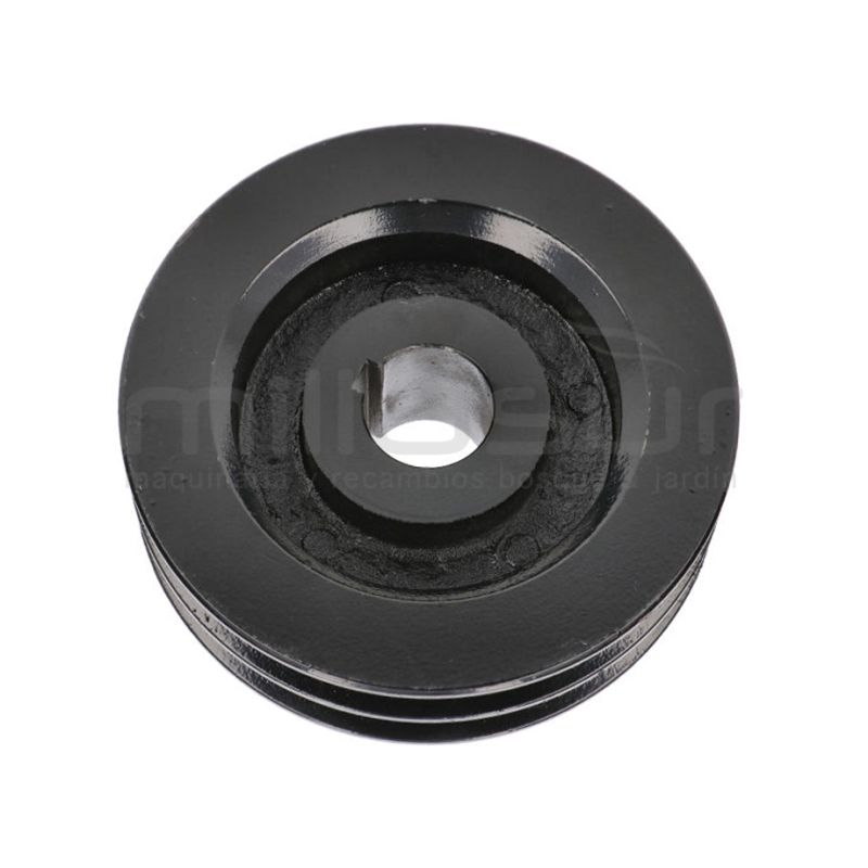 POLEA DOBLE TAMBOR BIO150S (48) - motoscamaralweb.com