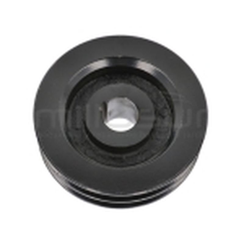 POLEA DOBLE TAMBOR BIO150S (48) - motoscamaralweb.com