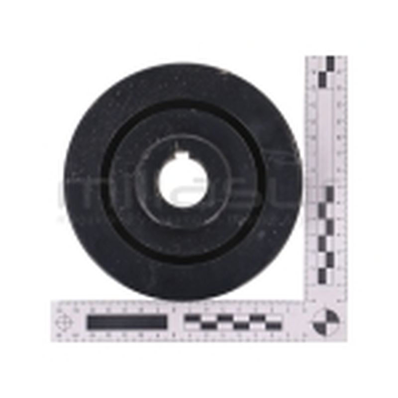 POLEA DOBLE TAMBOR BIO150S (48) - motoscamaralweb.com