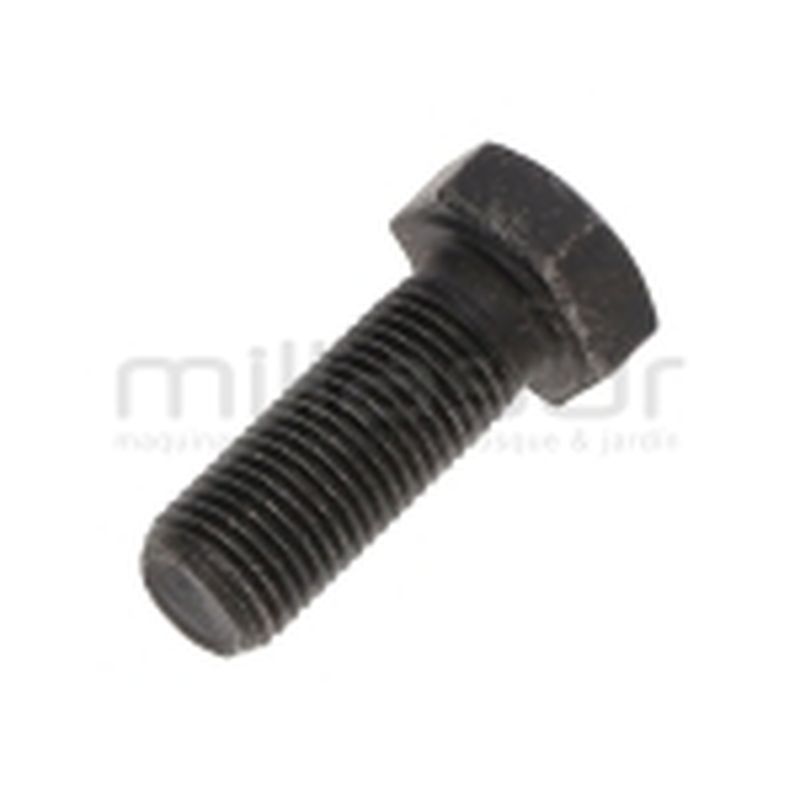 TORNILLO POLEA SALIDA MOTOR BIO150S (52) - motoscamaralweb.com