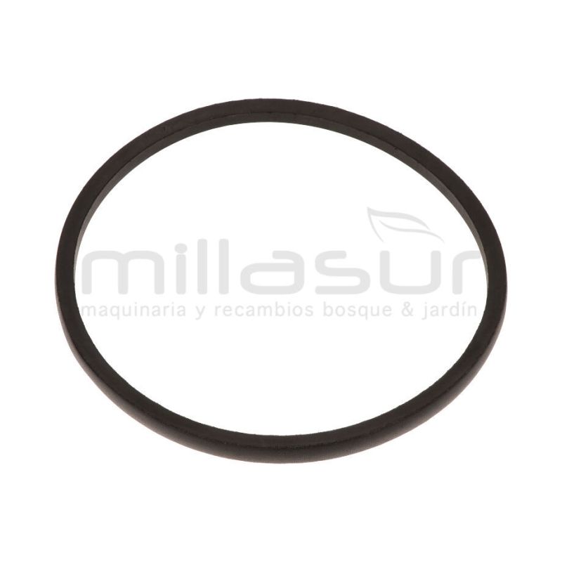 CORREA BIO150T (29) B-813 - motoscamaralweb.com