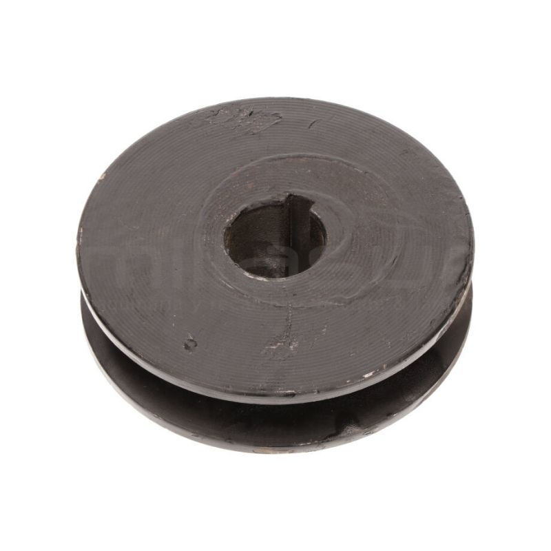 POLEA SALIDA MOTOR BIO150T (36) - motoscamaralweb.com