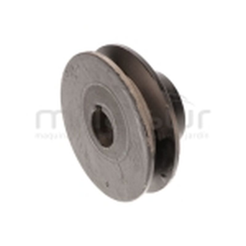 POLEA SALIDA MOTOR BIO150T (36) - motoscamaralweb.com