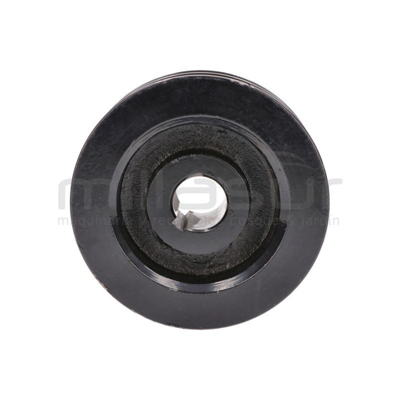 POLEA TAMBOR TRITURADOR BIO150VR (30) - motoscamaralweb.com