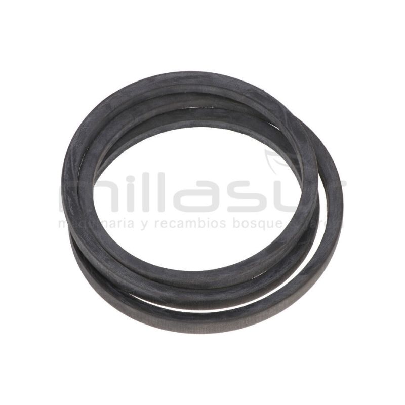 CORREA BIO150VR (8) - motoscamaralweb.com