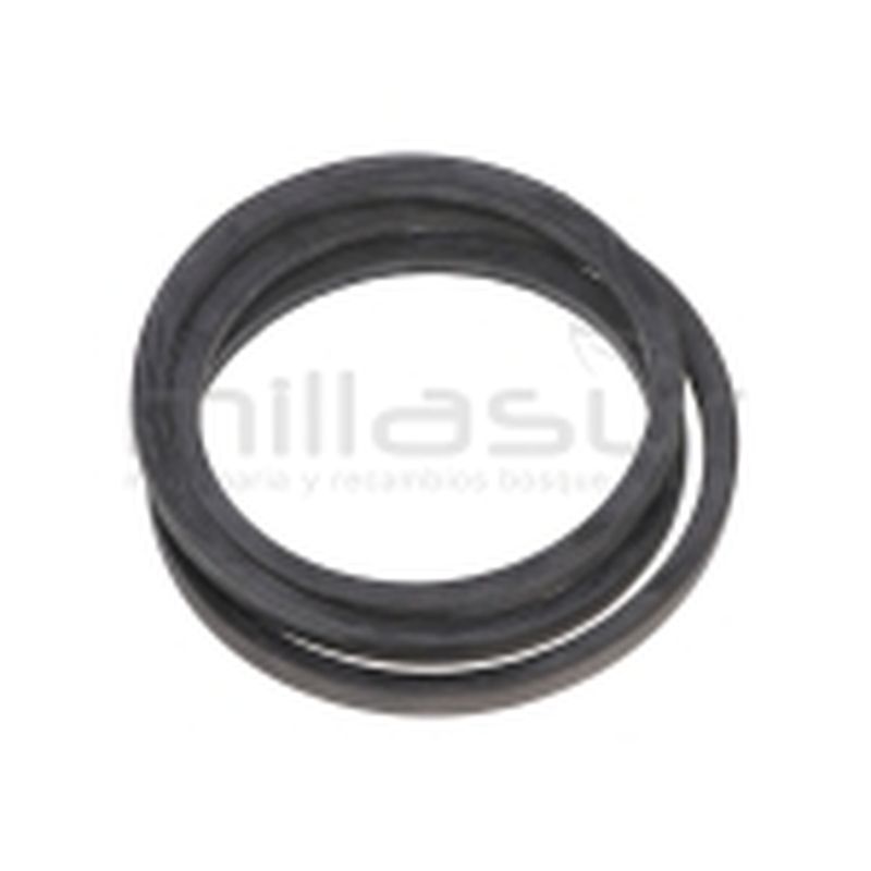 CORREA BIO150VR (8) - motoscamaralweb.com