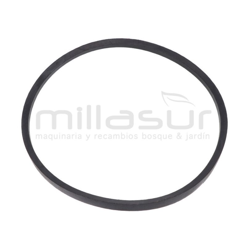 CORREA PLATO CUCHILLAS B965 LI BIO300 (7) - motoscamaralweb.com