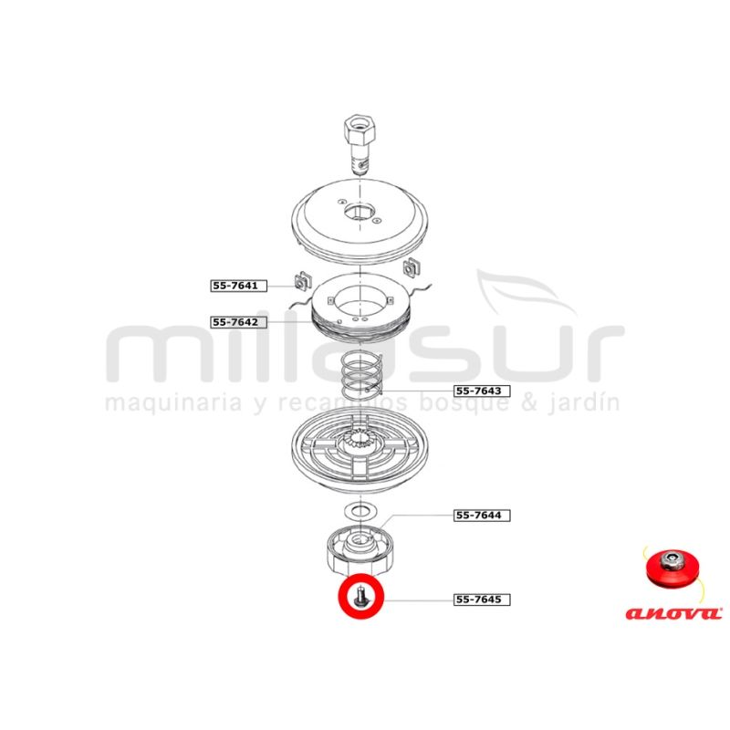 TORNILLO POMO CABEZAL PT130 ( 55-764) - motoscamaralweb.com