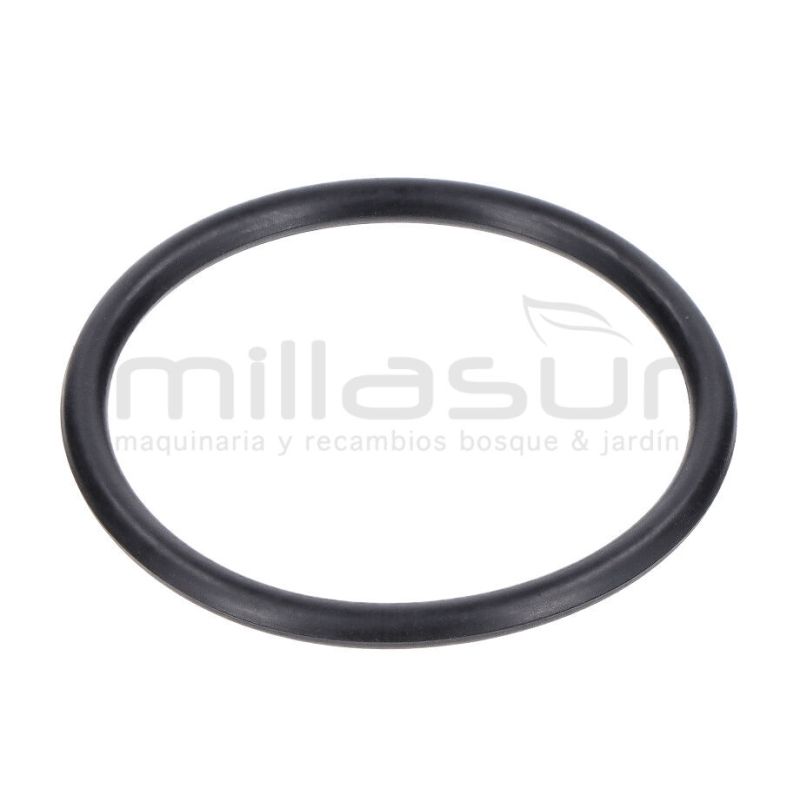 JUNTA TORICA CUERPO 45x3.1 BE1300ASC (20) - motoscamaralweb.com