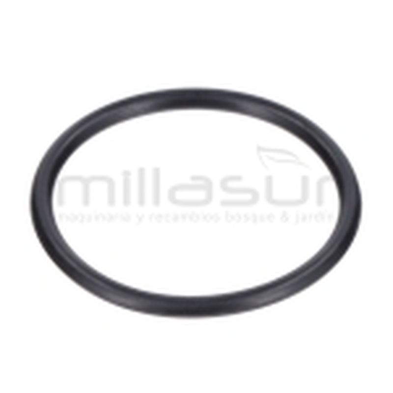JUNTA TORICA CUERPO 45x3.1 BE1300ASC (20) - motoscamaralweb.com