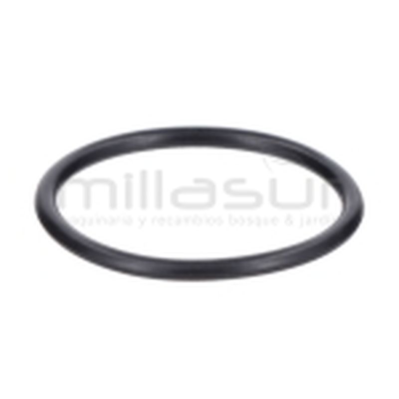 JUNTA TORICA CUERPO 45x3.1 BE1300ASC (20) - motoscamaralweb.com