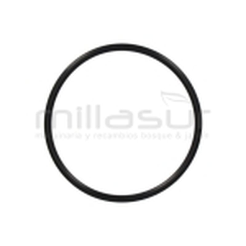 JUNTA TORICA CUERPO BOMBA 95x5 BE750AS (43) - motoscamaralweb.com