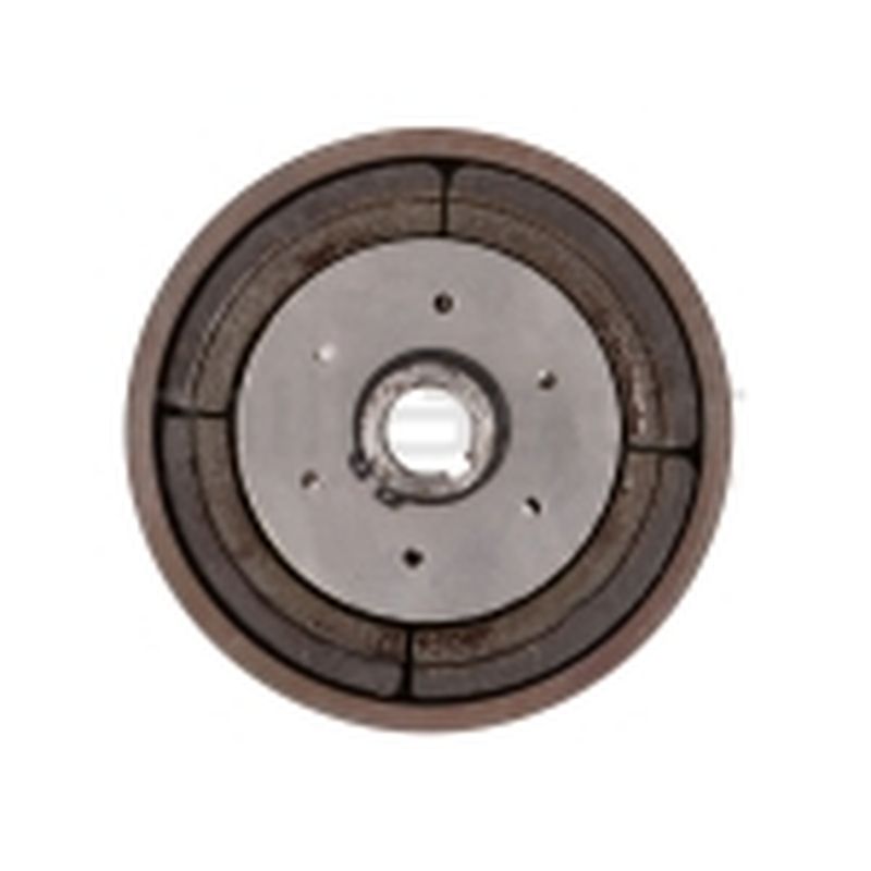 CONJUNTO EMBRAGUE POLEA BIO300 (13) - motoscamaralweb.com