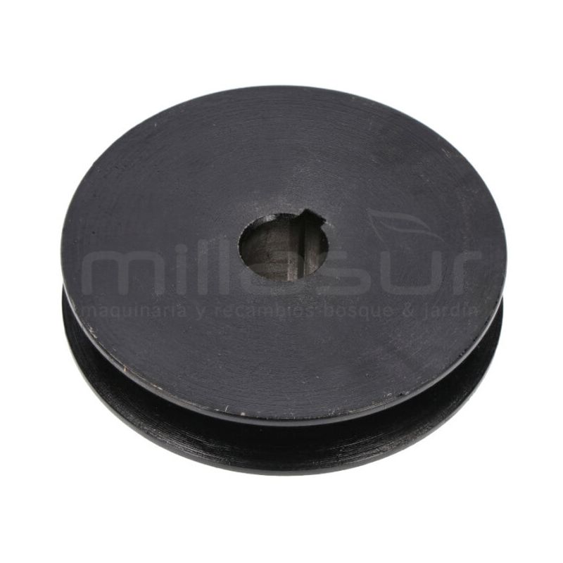 POLEA BOMBA HIDRAULICA BIO300 (71) - motoscamaralweb.com