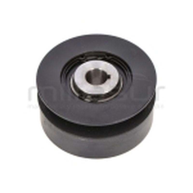 POLEA SALIDA MOTOR BIO70D (27) - motoscamaralweb.com