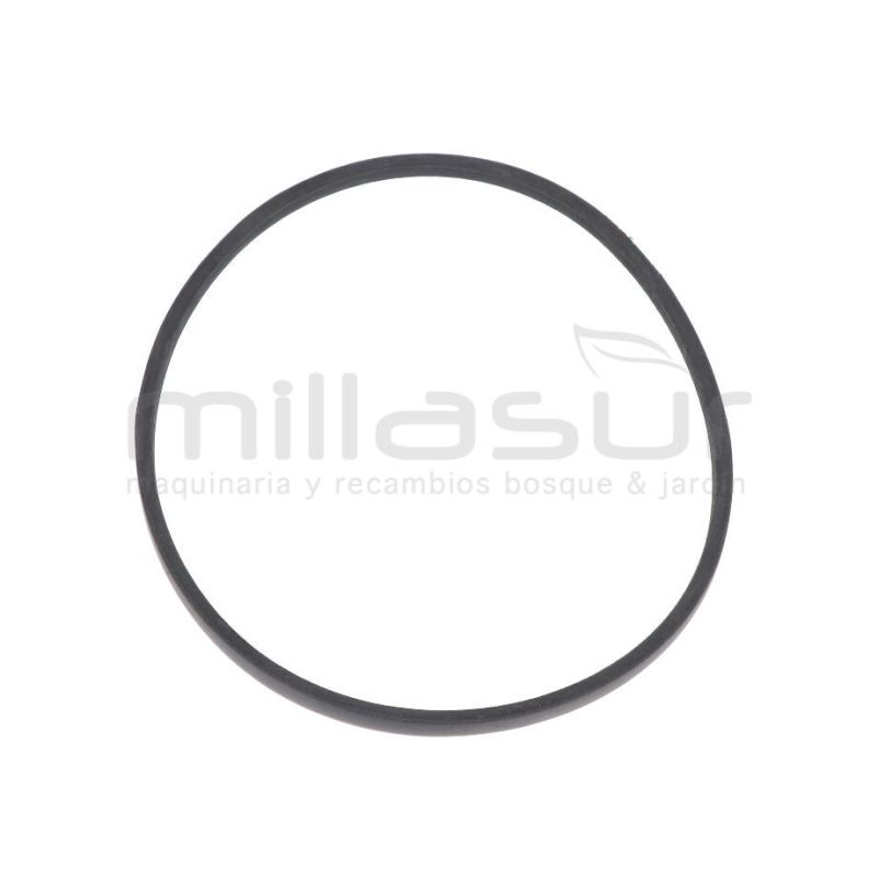 CORREA BIO70S (2) - motoscamaralweb.com