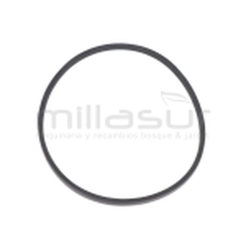 CORREA BIO70S (2) - motoscamaralweb.com