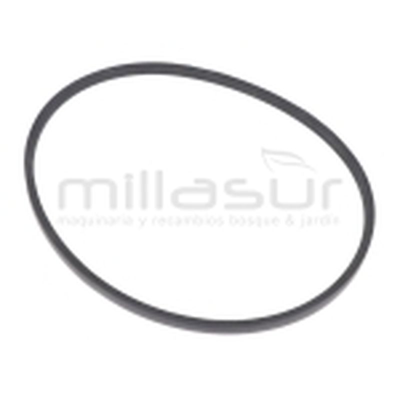 CORREA BIO70S (2) - motoscamaralweb.com