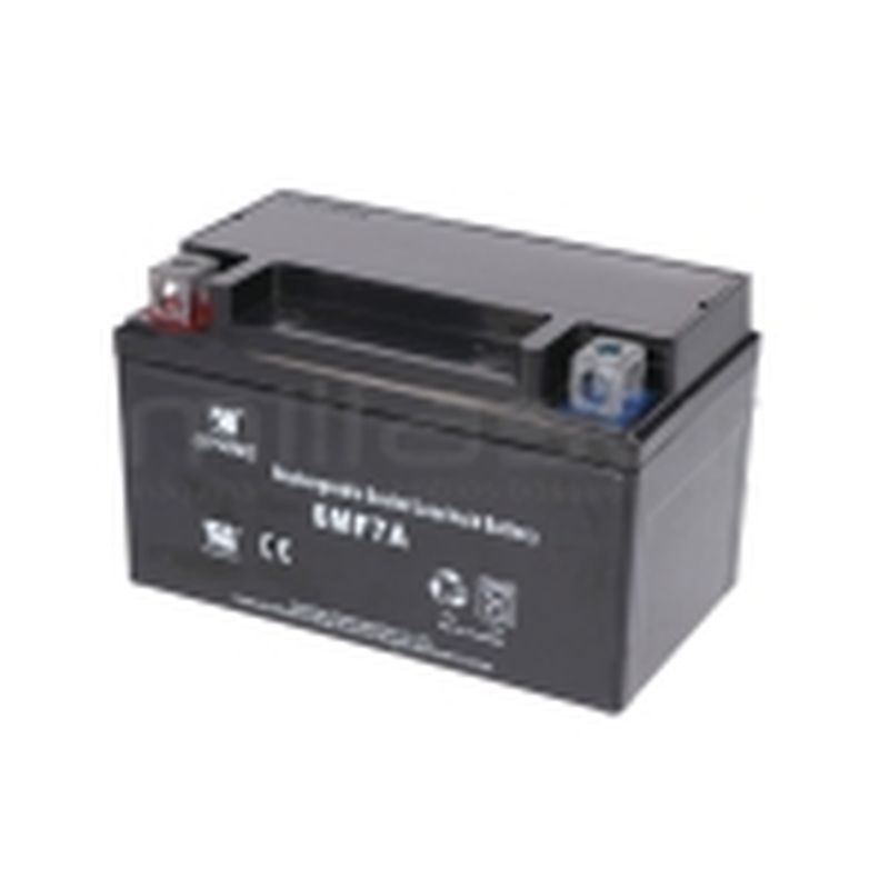 BATERIA BIO70S (23) - motoscamaralweb.com