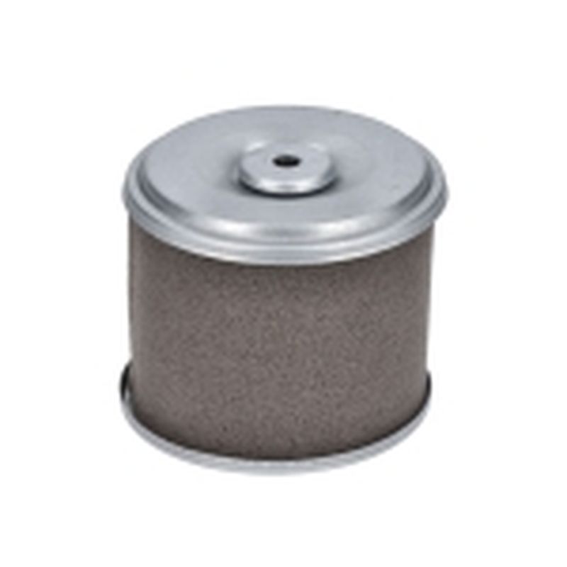 FILTRO DE AIRE GF200FA (196CC) (4) - motoscamaralweb.com