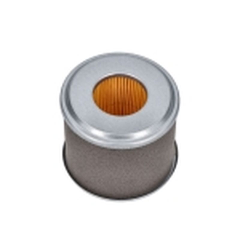 FILTRO DE AIRE GF200FA (196CC) (4) - motoscamaralweb.com