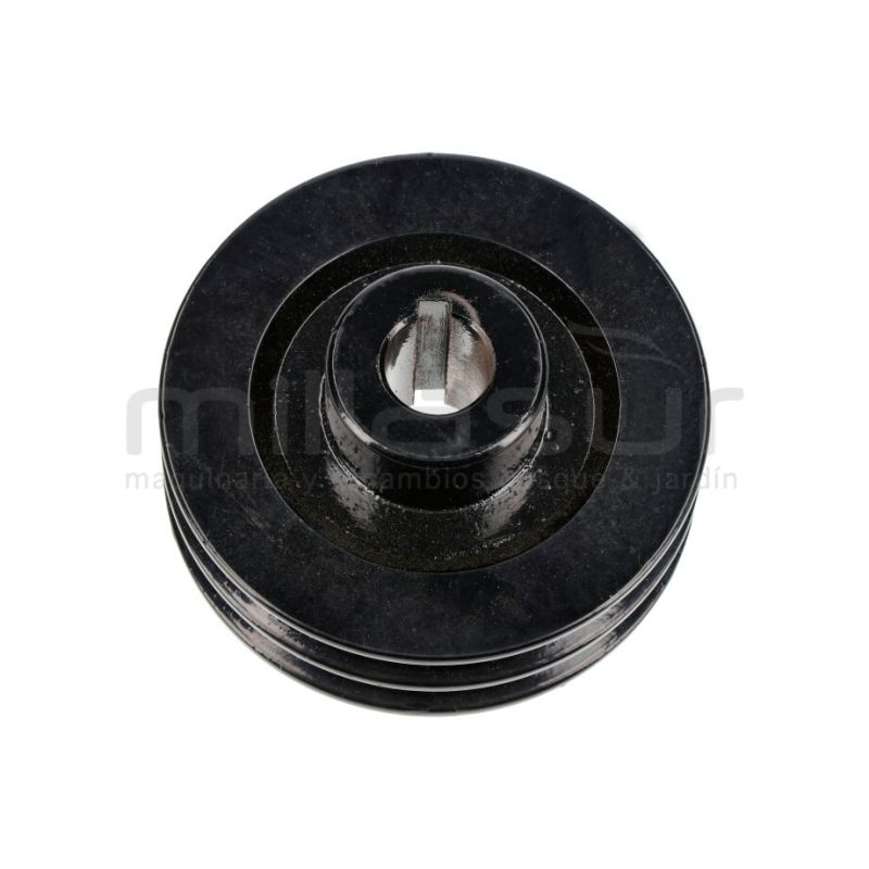 POLEA TAMBOR TRITURADOR BIO70VR (30) - motoscamaralweb.com