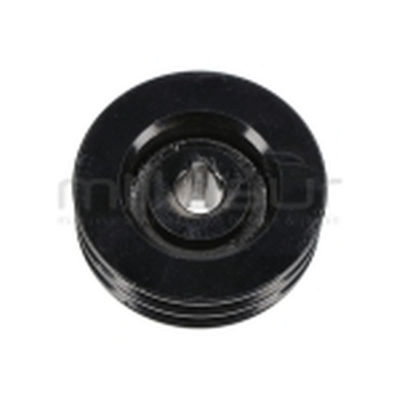 POLEA TAMBOR TRITURADOR BIO70VR (30) - motoscamaralweb.com