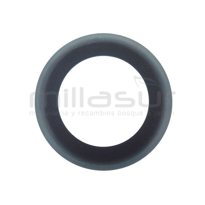 ARO PISTON CA06 (32) - motoscamaralweb.com