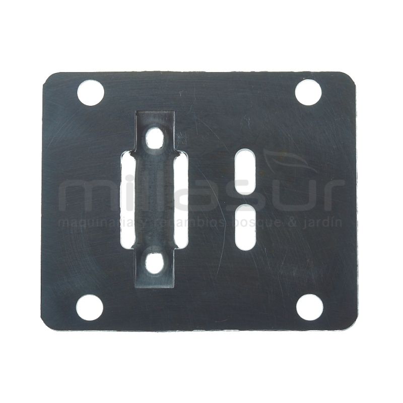 PLATINA VALVULA CA06 (38) - motoscamaralweb.com