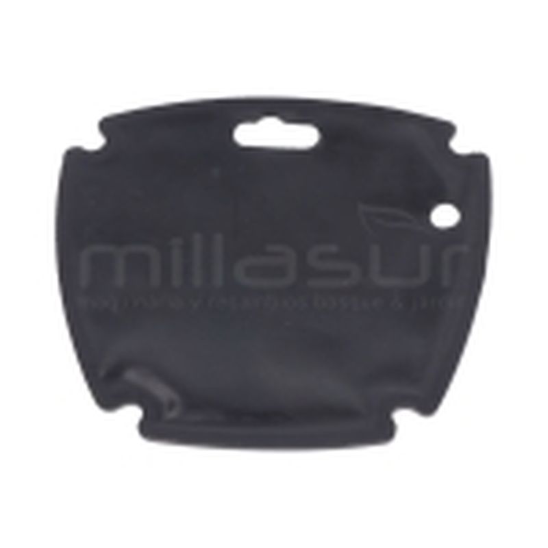 TAPA LATERAL CARTER BOMBA CA24. CA50 (5) (2HP - 2019) - motoscamaralweb.com