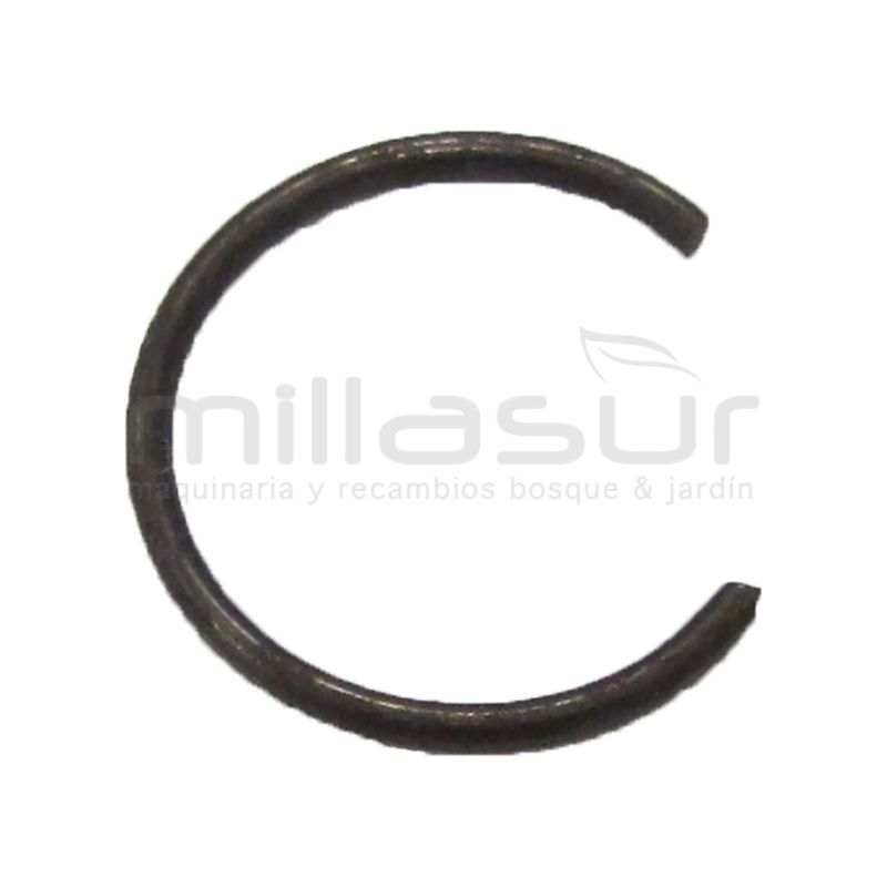 PRESILLA BULON - motoscamaralweb.com