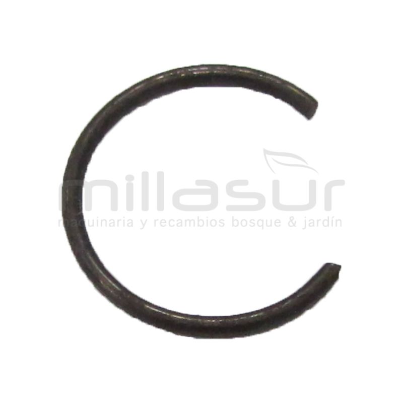 PRESILLA BULON - motoscamaralweb.com