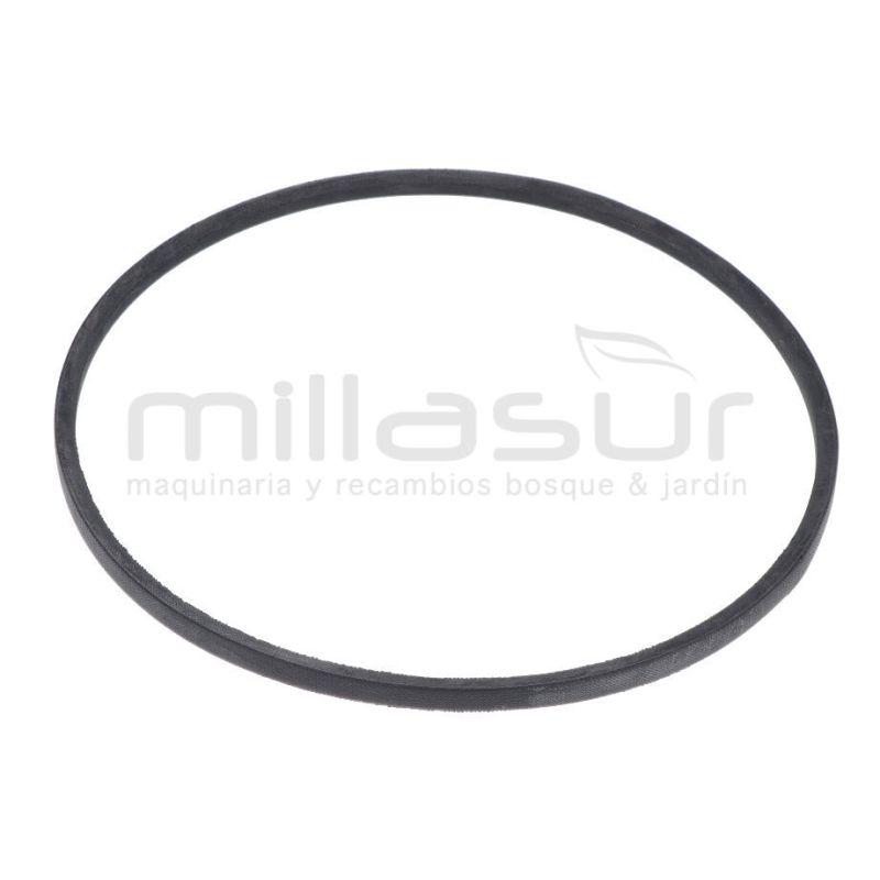 CORREA CC240PT (10) Z737Li - motoscamaralweb.com