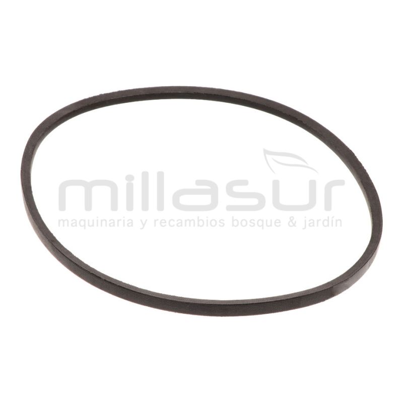 CORREA CC246T (10). CC251TE (12) 686mm - MODELOS DESDE 2020 TRACCIÓN GT - motoscamaralweb.com