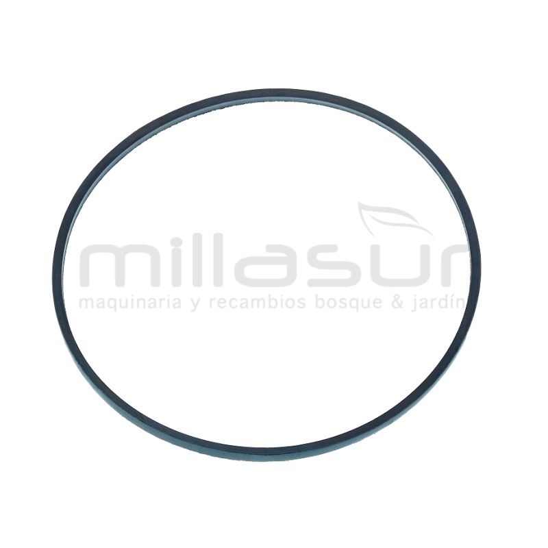 CORREA CC251T (10) - CC251TA (27) Z813Li - motoscamaralweb.com