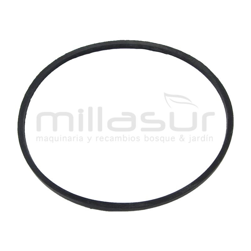 CORREA 711mm (LI) - motoscamaralweb.com