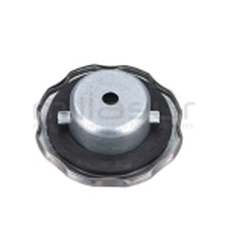 TAPON GASOLINA MOTOR BIO130 - motoscamaralweb.com