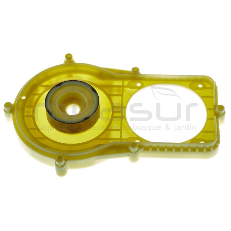 PLACA SUJECION MOTOR CE246 (49) - motoscamaralweb.com