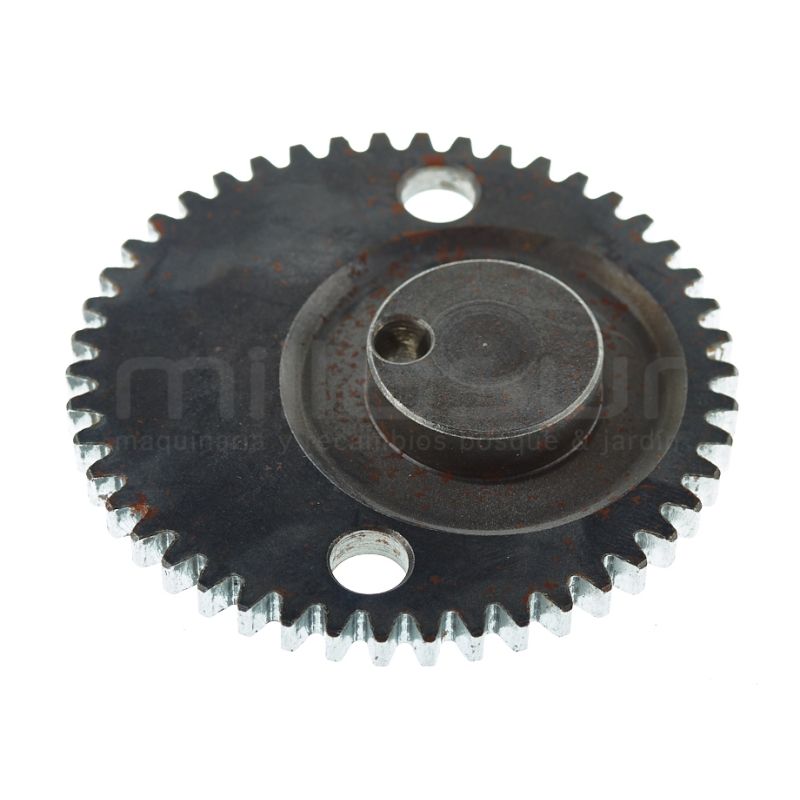 PIÑON EXCÉNTRICO BIELA CG2360 - motoscamaralweb.com