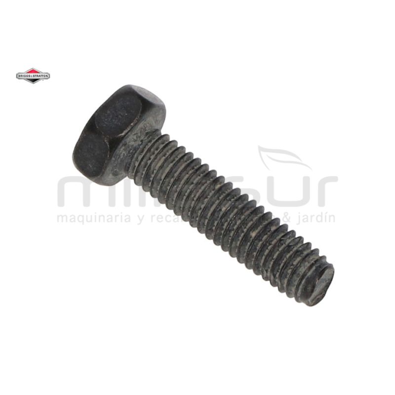 TORNILLO - motoscamaralweb.com