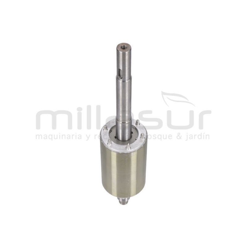 ROTOR MOTOR BE1300ASC (32) - motoscamaralweb.com