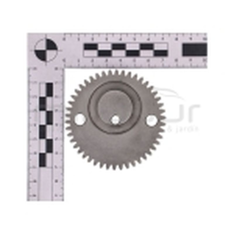 PIÑON EXCENTRICA CG2660 - motoscamaralweb.com