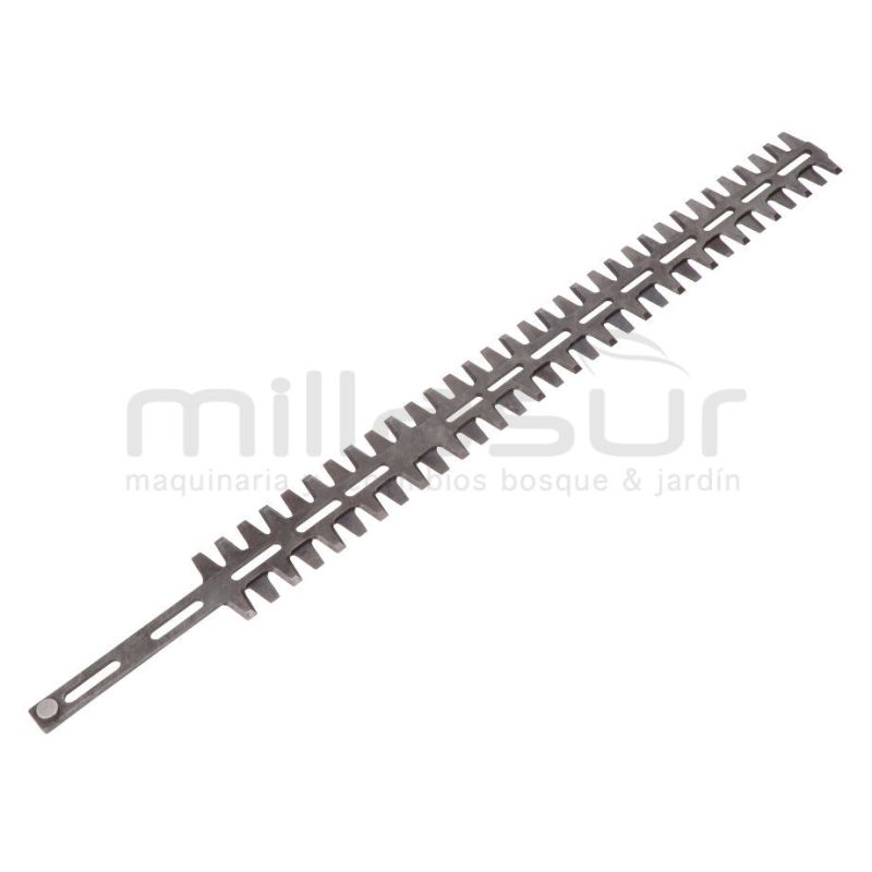 JUEGO PEINES - motoscamaralweb.com