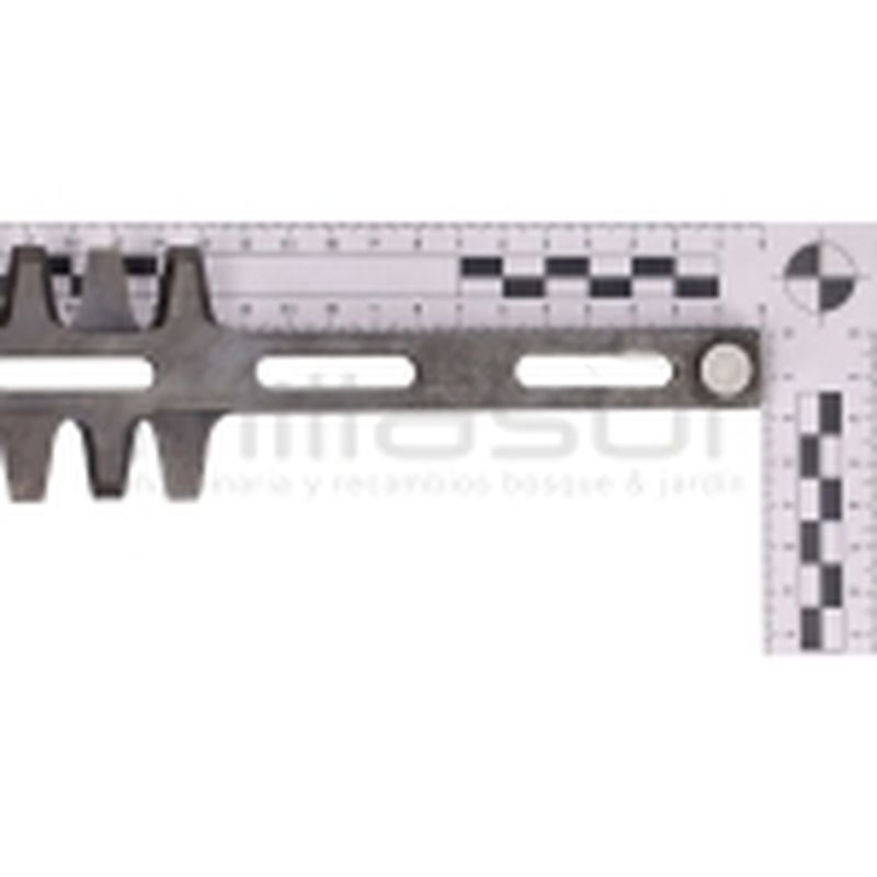 JUEGO PEINES - motoscamaralweb.com